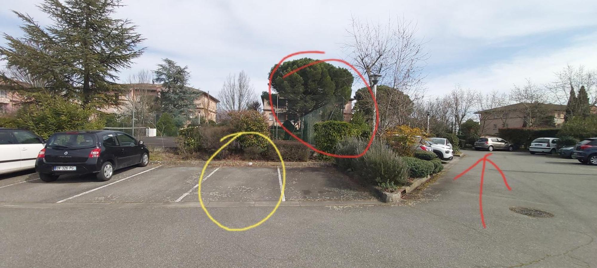 Appartamento Les Elfes - avec parking&jardin privé ! Tolosa Esterno foto